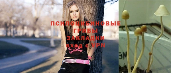 прущая мука Абинск